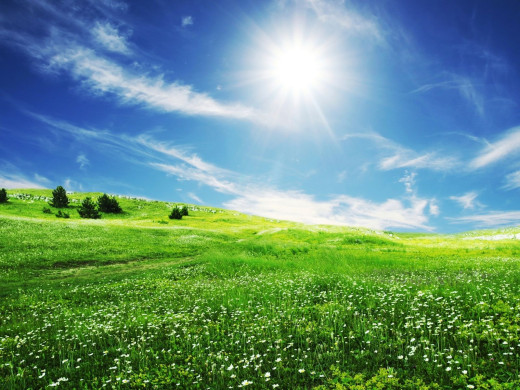 40798 (a): :1600x1200